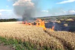 МЧС ЛНР продлило действие самого высокого класса пожарной опасности до 1 августа