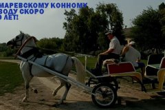 Лимаревскому конному заводу Луганской Народной Республики скоро 200 лет!