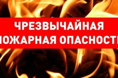 МЧС объявило с 26 августа в ЛНР чрезвычайный класс пожарной опасности