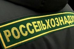 УПРАВЛЕНИЕ РОССЕЛЬХОЗНАДЗОРА СОЗДАНО В ЛНР-ГСВМ ЛНР