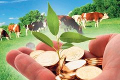 ❗️Информация по реестру получателей субсидии из Государственного бюджета ЛНР субъектам пищевой промышленности на переработу сырого молока крупного рогатого скота