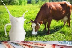 ❗️Информация по реестру получателей субсидии из Государственного бюджета ЛНР на развитие животноводства в целях поддержки производства молока