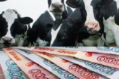 ❗️Информация по реестру получателей субсидии из Государственного бюджета ЛНР на развитие животноводства в целях возмещения части затрат на содержание поголовья коров