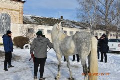 В зимнюю стужу привезли 