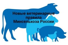 ГСВМ ЛНР информирует о  новых ветеринарных правилах  РФ