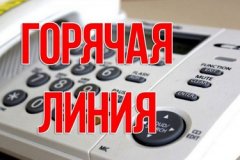 Управление Федеральной службы по ветеринарному и фитосанитарному надзору по ЛНР сообщает о начале работы «Горячей линии» для физических лиц и хозяйствующих субъектов