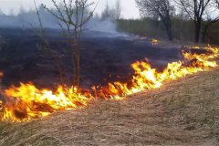 ВНИМАНИЕ! Запрет на сжигание сухой растительности