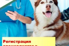 Внимание специалистов в области ветеринарии, занимающихся предпринимательской деятельностью в области ветеринарии на территории Луганской Народной Республики!