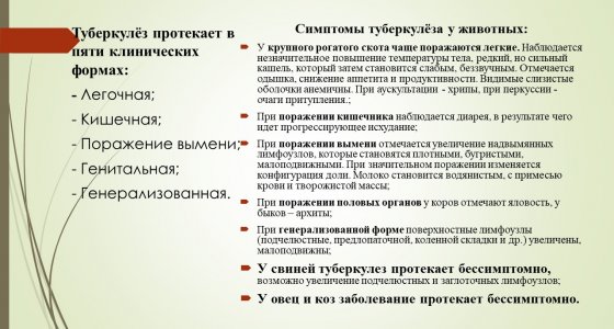  Специалисты управления ветеринарии подготовили рекомендации по профилактике и борьбе с туберкулезом у животных