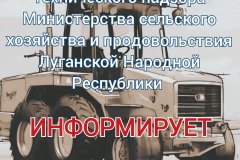 Гостехнадзор ЛНР напоминает о необходимости соблюдения технических требований к самоходным машинам и другой технике