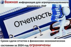 ПРИКАЗ Об утверждении сроков предоставления отчета о финансово - экономическом состоянии